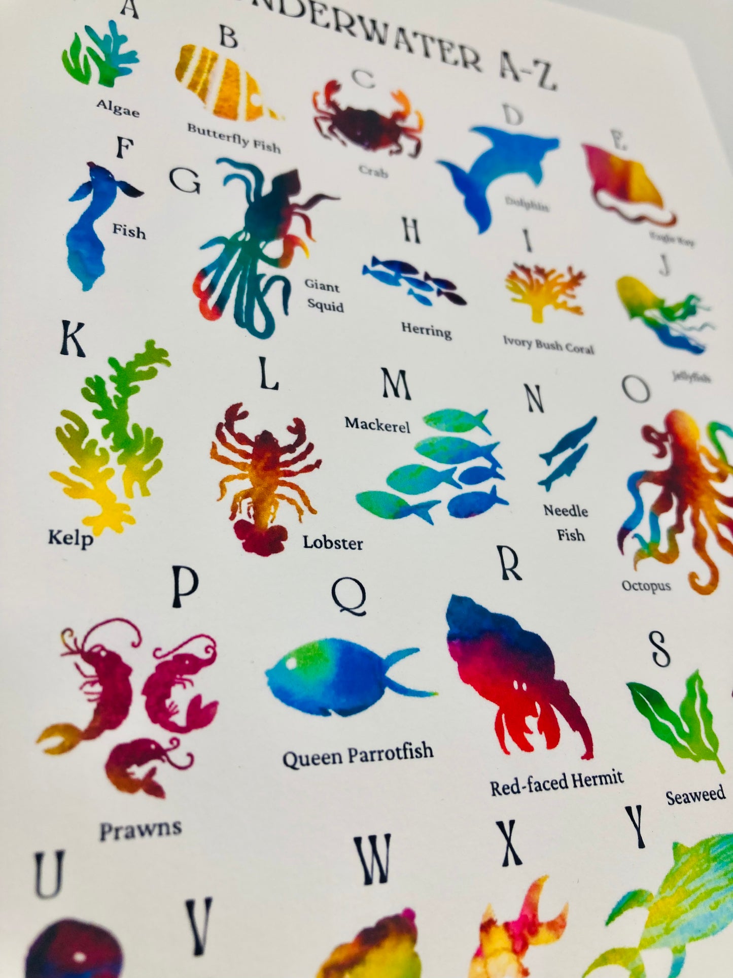Underwater A- Z Fine Art Print *Seconds*