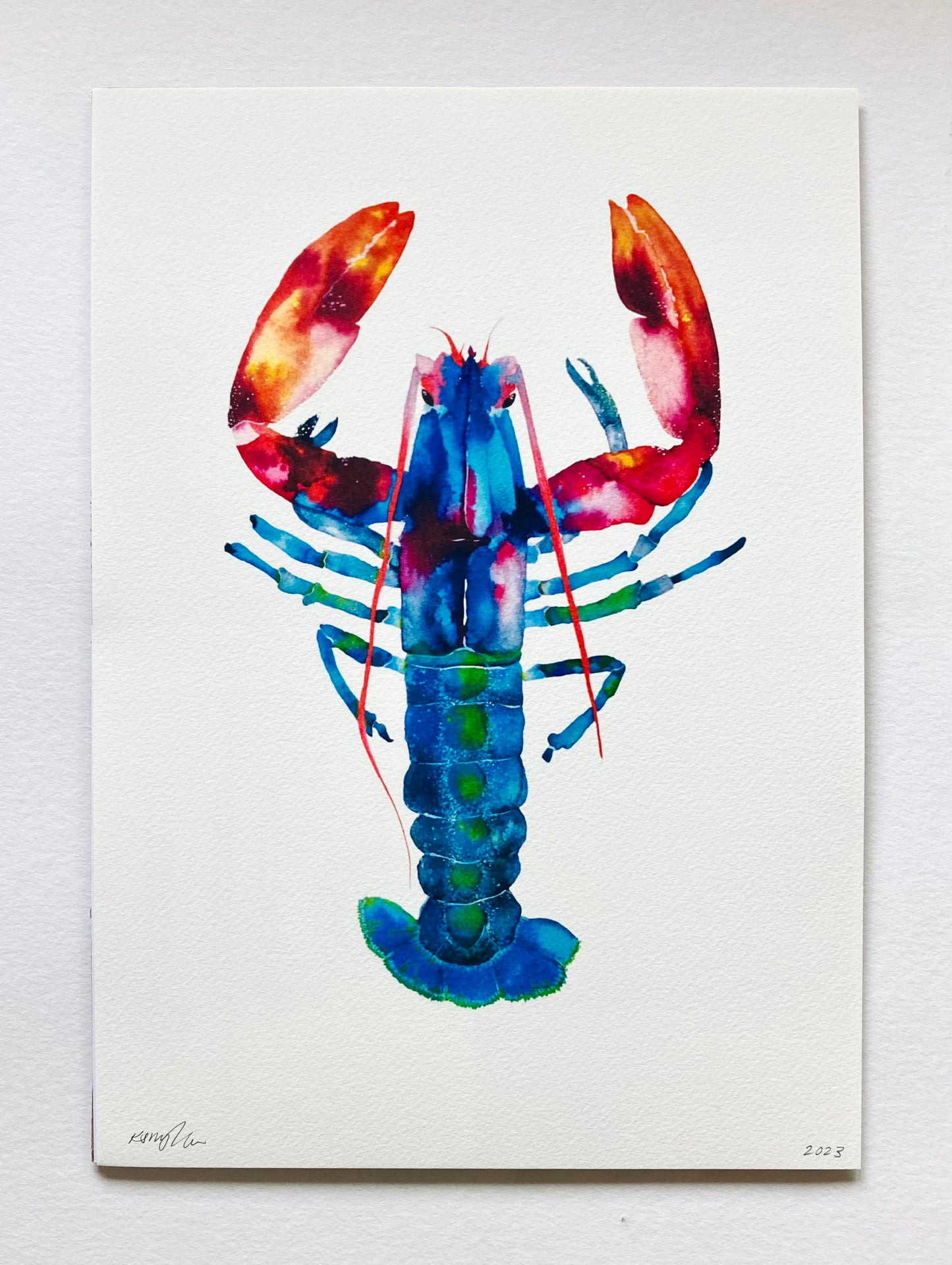Watercolour Lobster Fine Art Print