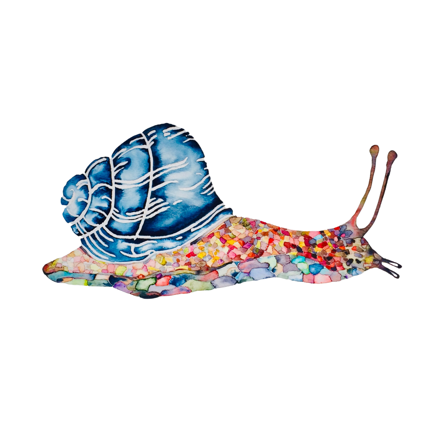 Snail Framed Watercolour Painting