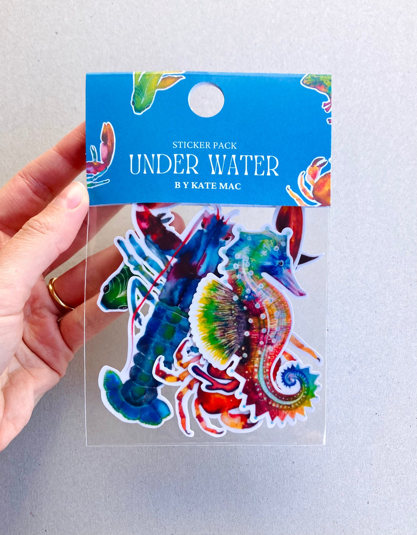 Lucky Dip Animals Vinyl Sticker Pack *Seconds*