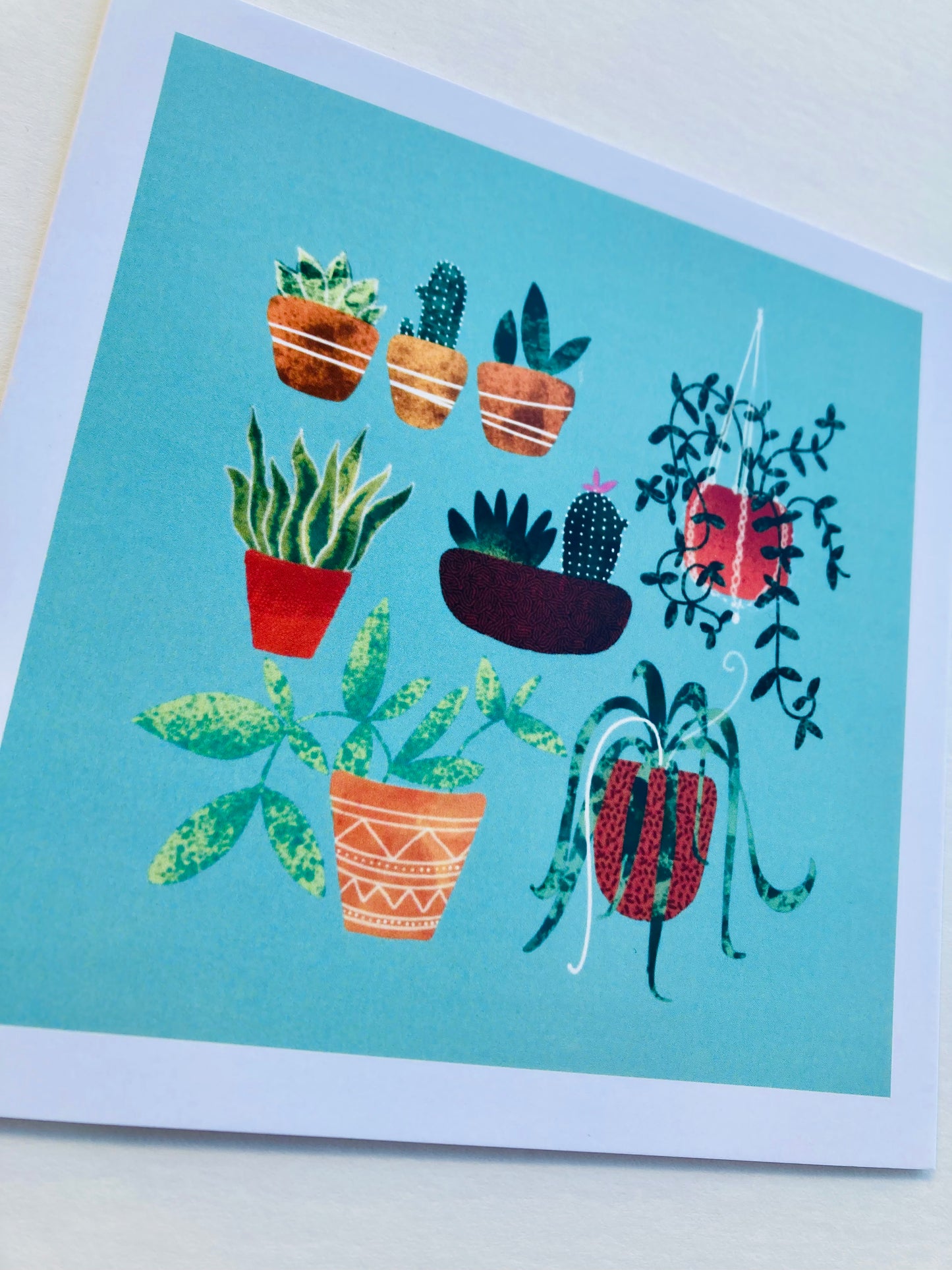Houseplant Greetings Card *Seconds*