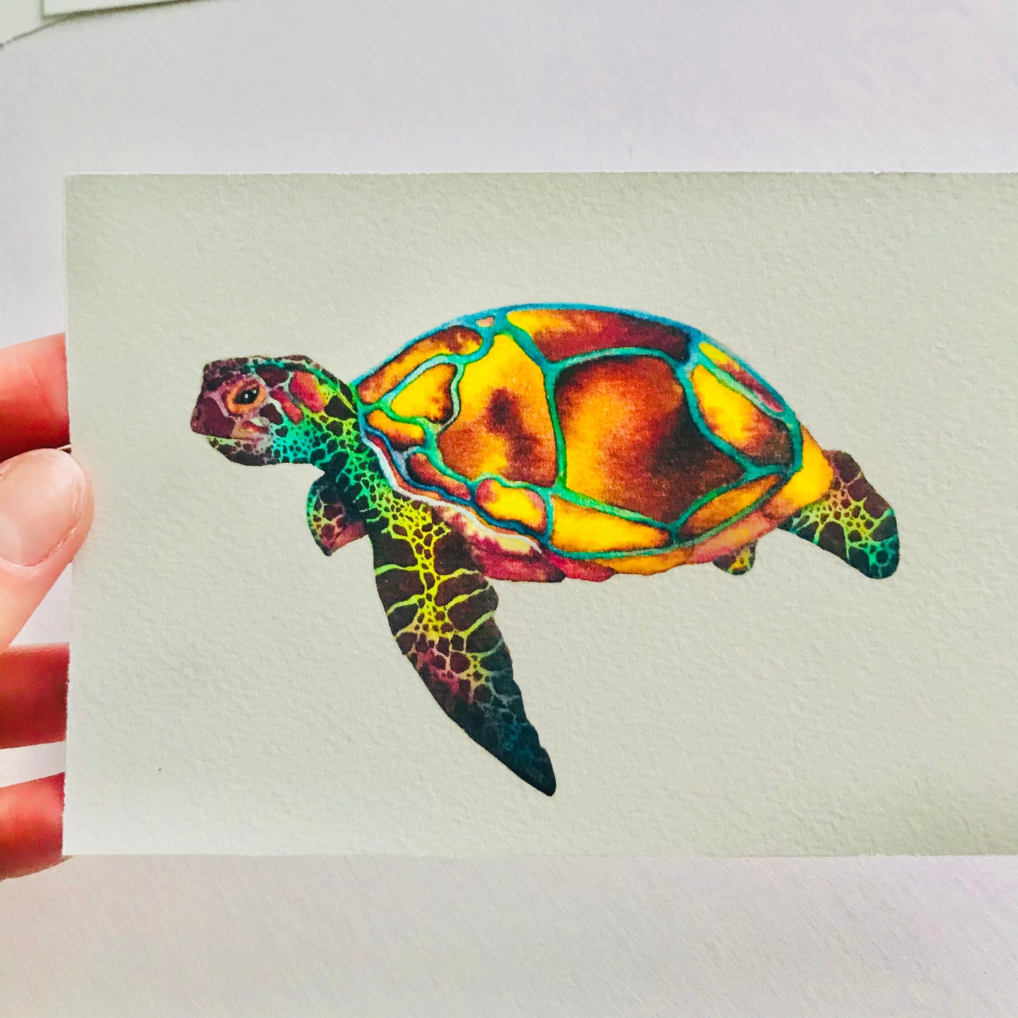 Mini Turtle Fine Art Print *Seconds*