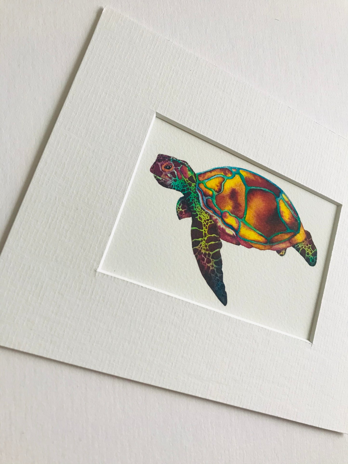 Mini Turtle Fine Art Print *Seconds*