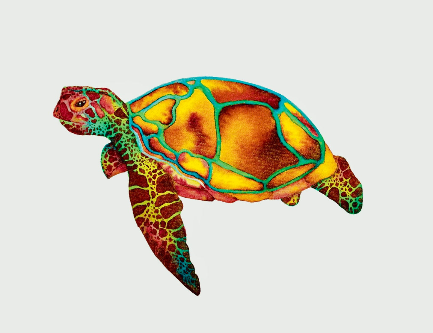 Turtle Watercolour Painting