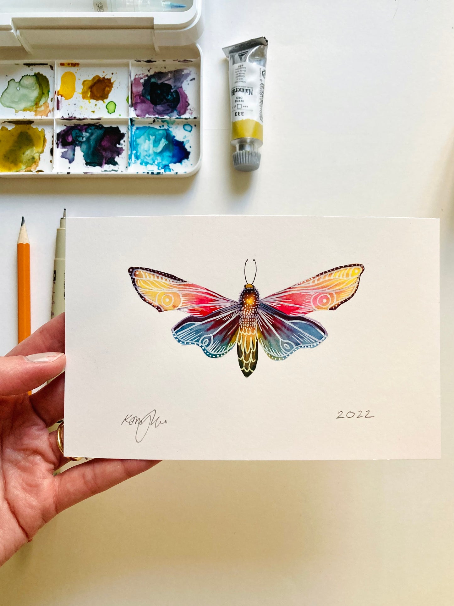 Moth Original Watercolour Painting