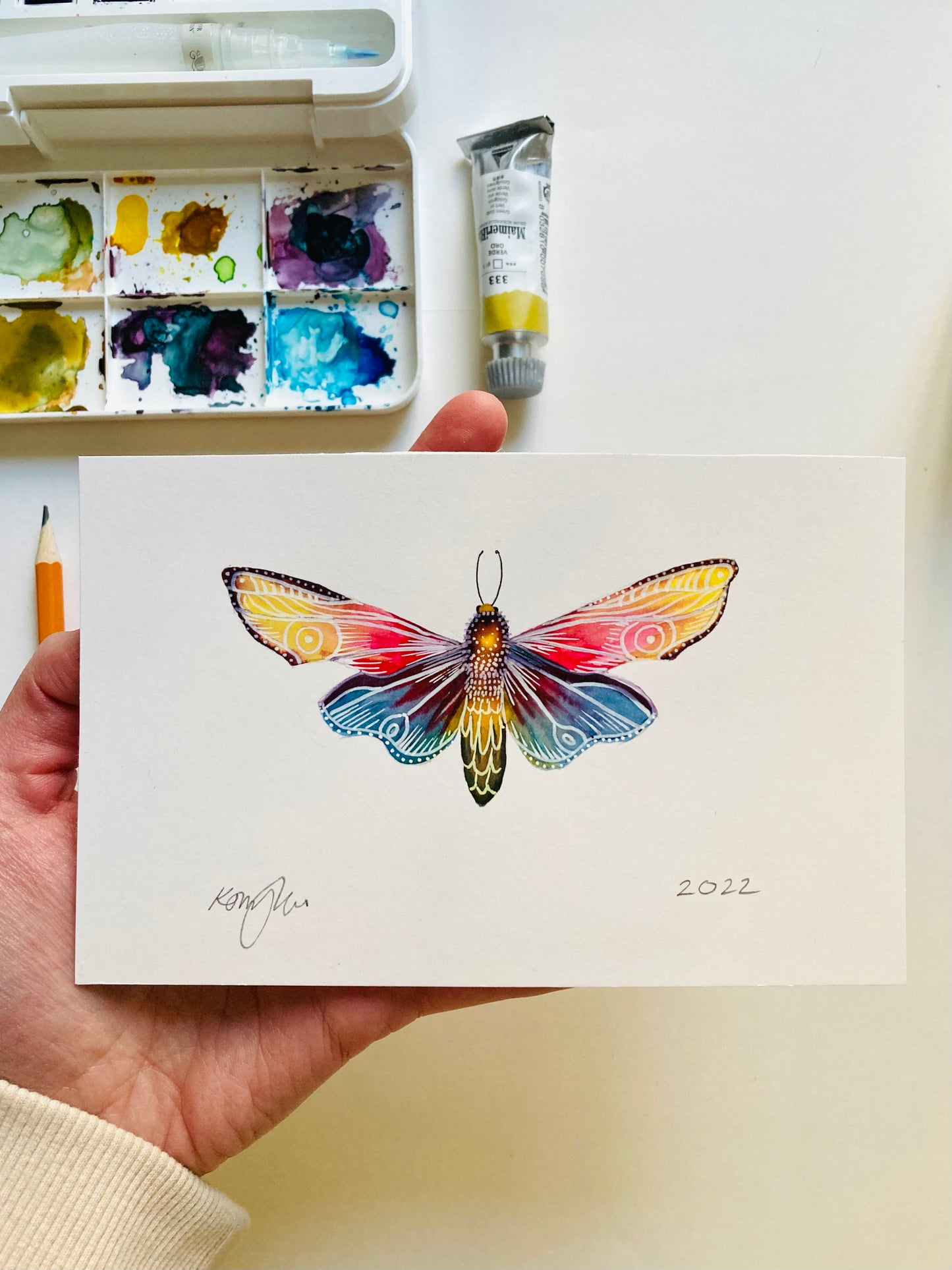 Moth Original Watercolour Painting