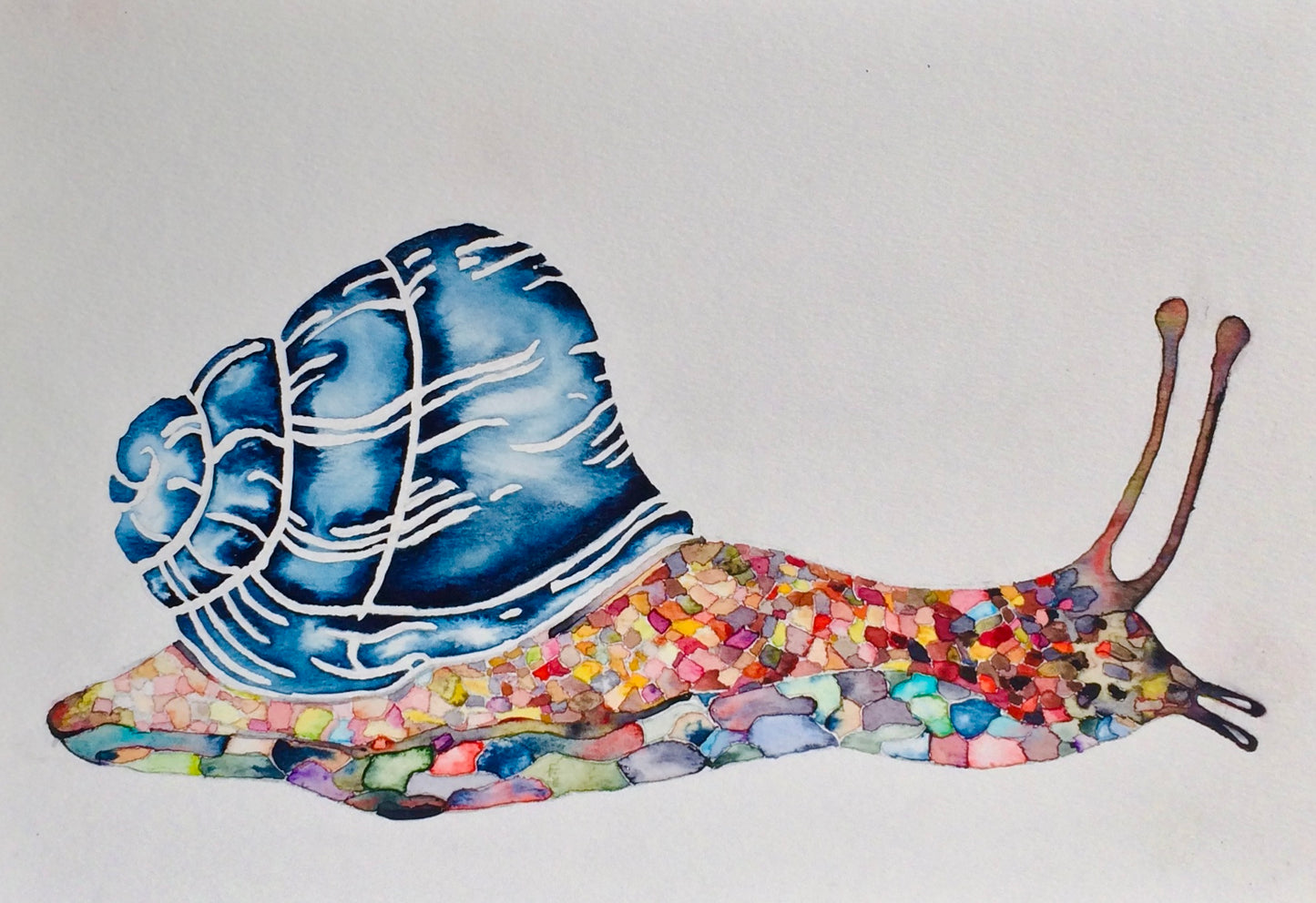 Snail Framed Watercolour Painting