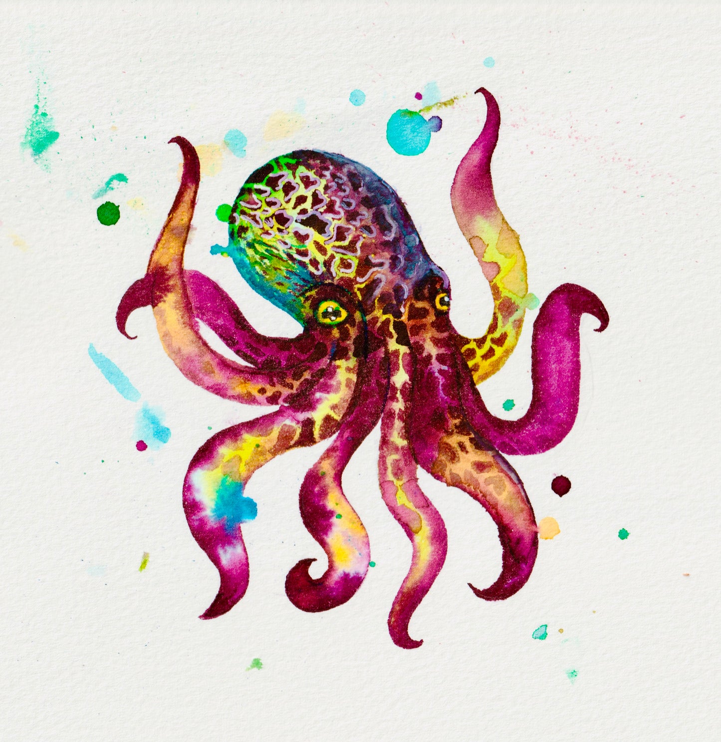Inky Octopus Framed Watercolour Painting