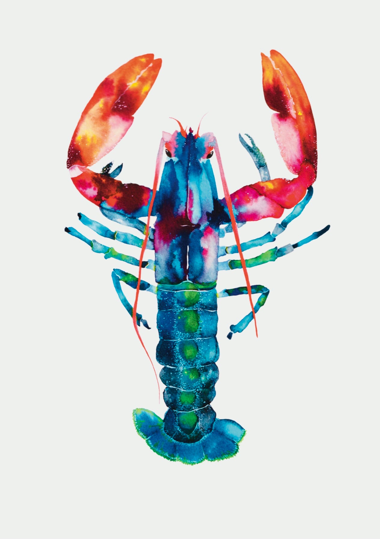 Lobster Framed Watercolour Painting