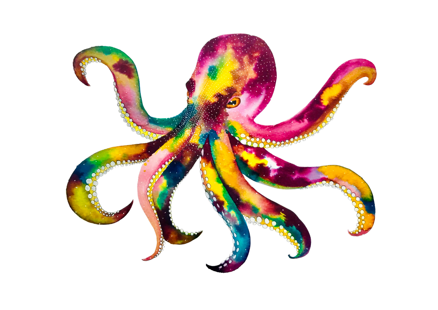 Octopus Framed Watercolour Painting