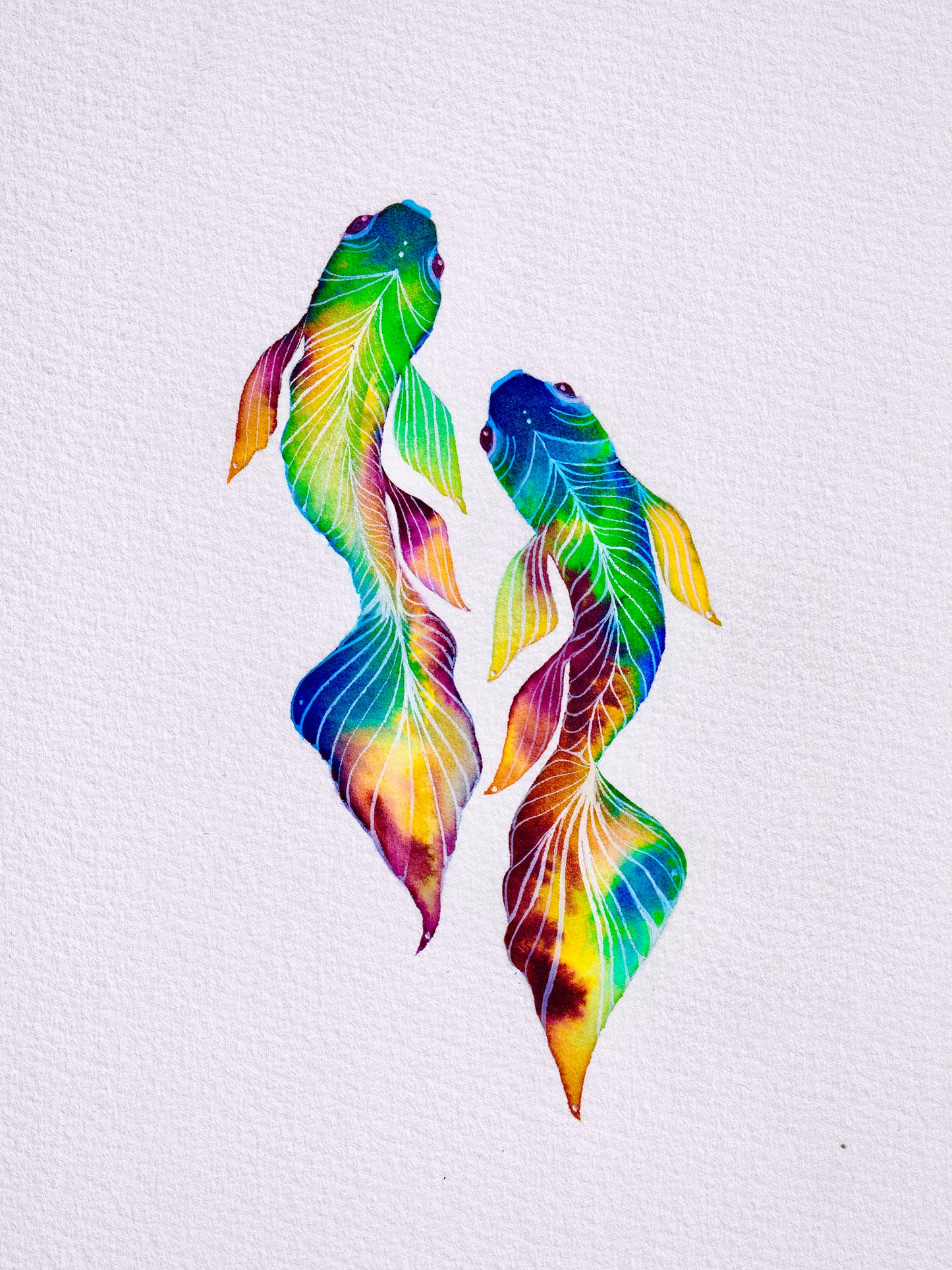 Pisces Framed Watercolour Painting