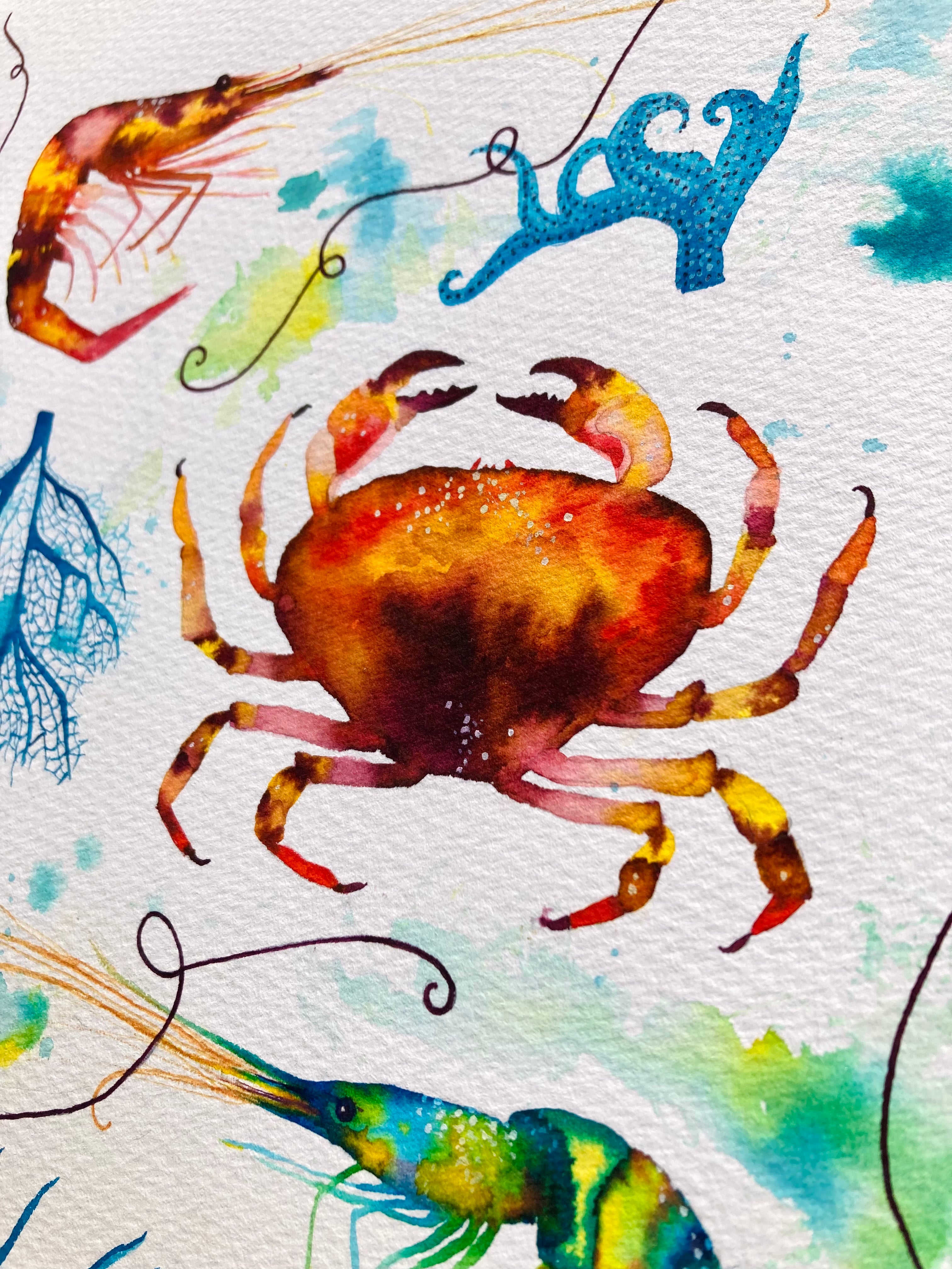 Watercolour Crab Painting