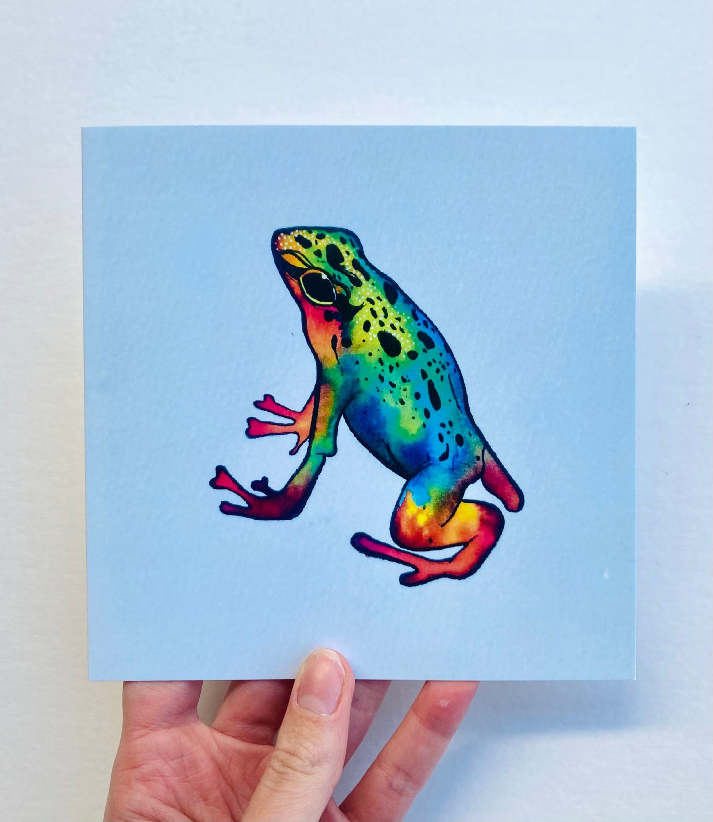 Dart Frog Greetings Card *Seconds*