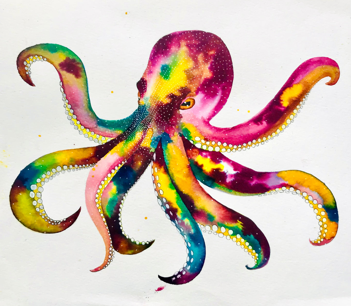 Watercolour Octopus Fine Art Print *Seconds*