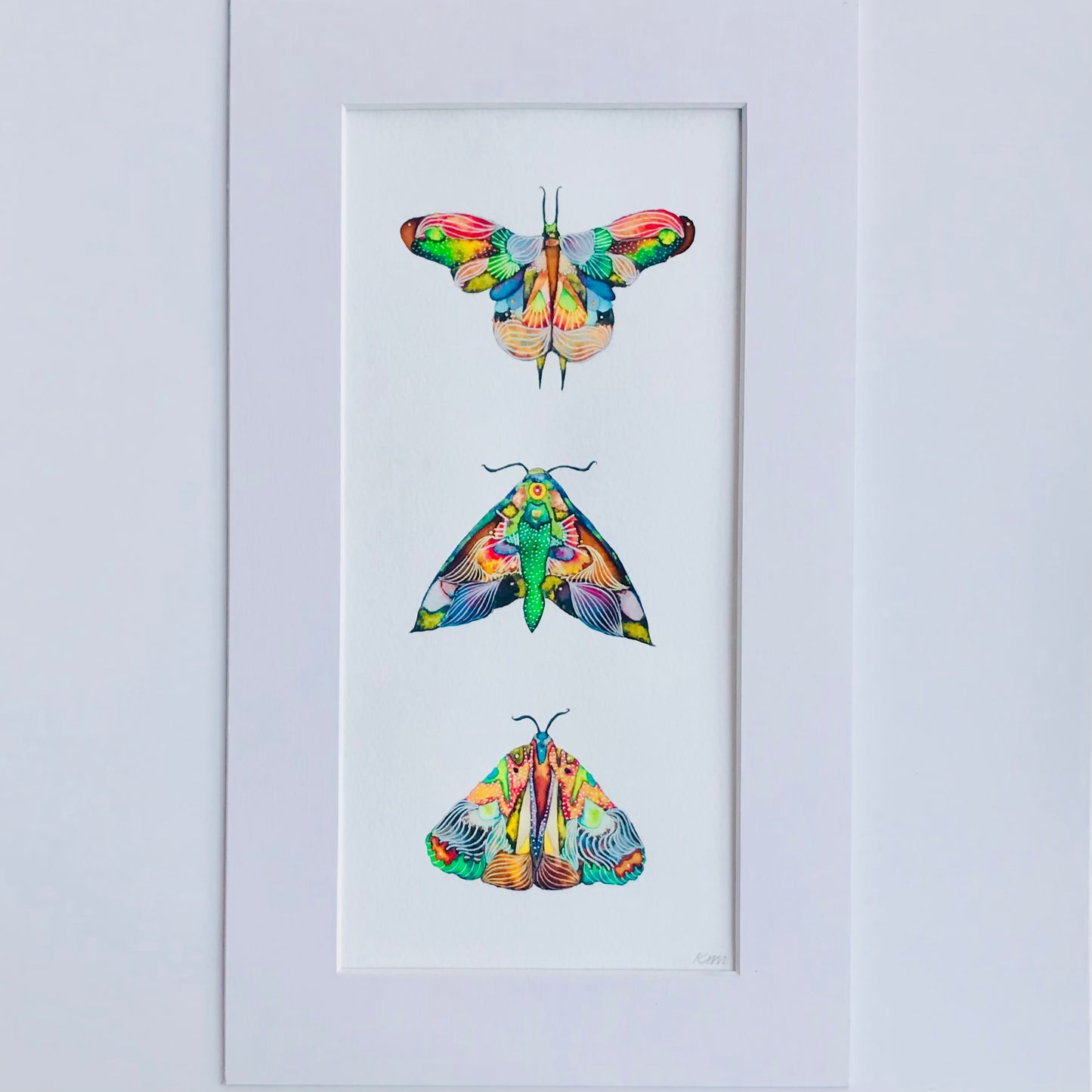 Three Moths Framed Watercolour Painting