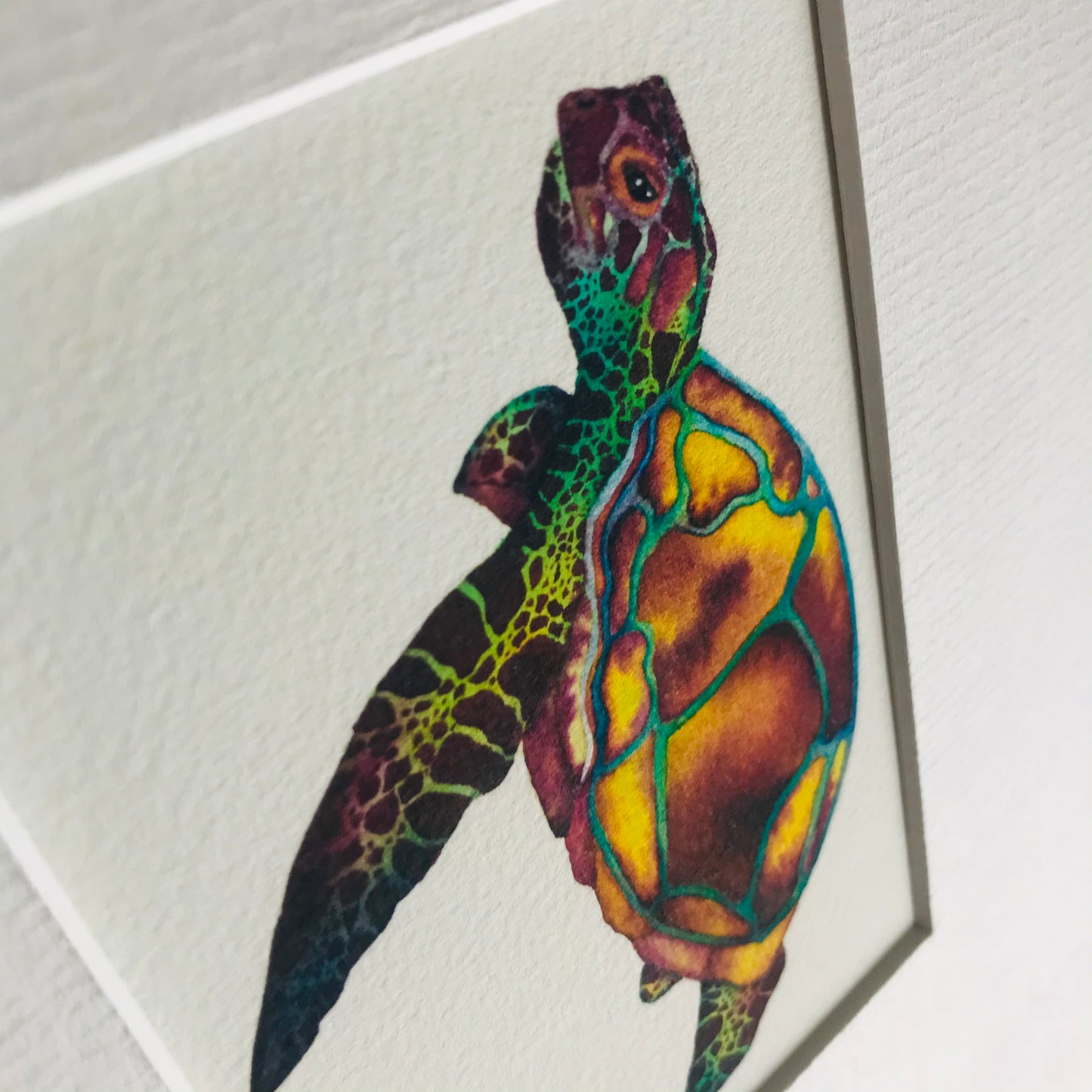 Mini Turtle Fine Art Print *Seconds*