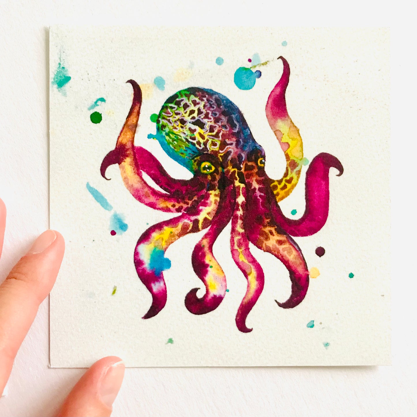Mini Octopus Fine Art Print *Seconds*