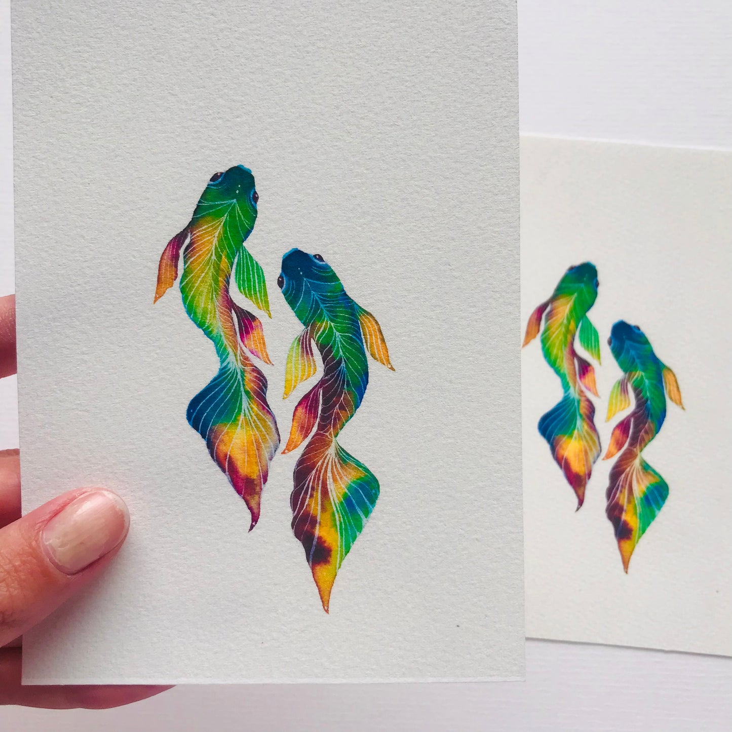 Mini Pisces Fine Art Print *Seconds*
