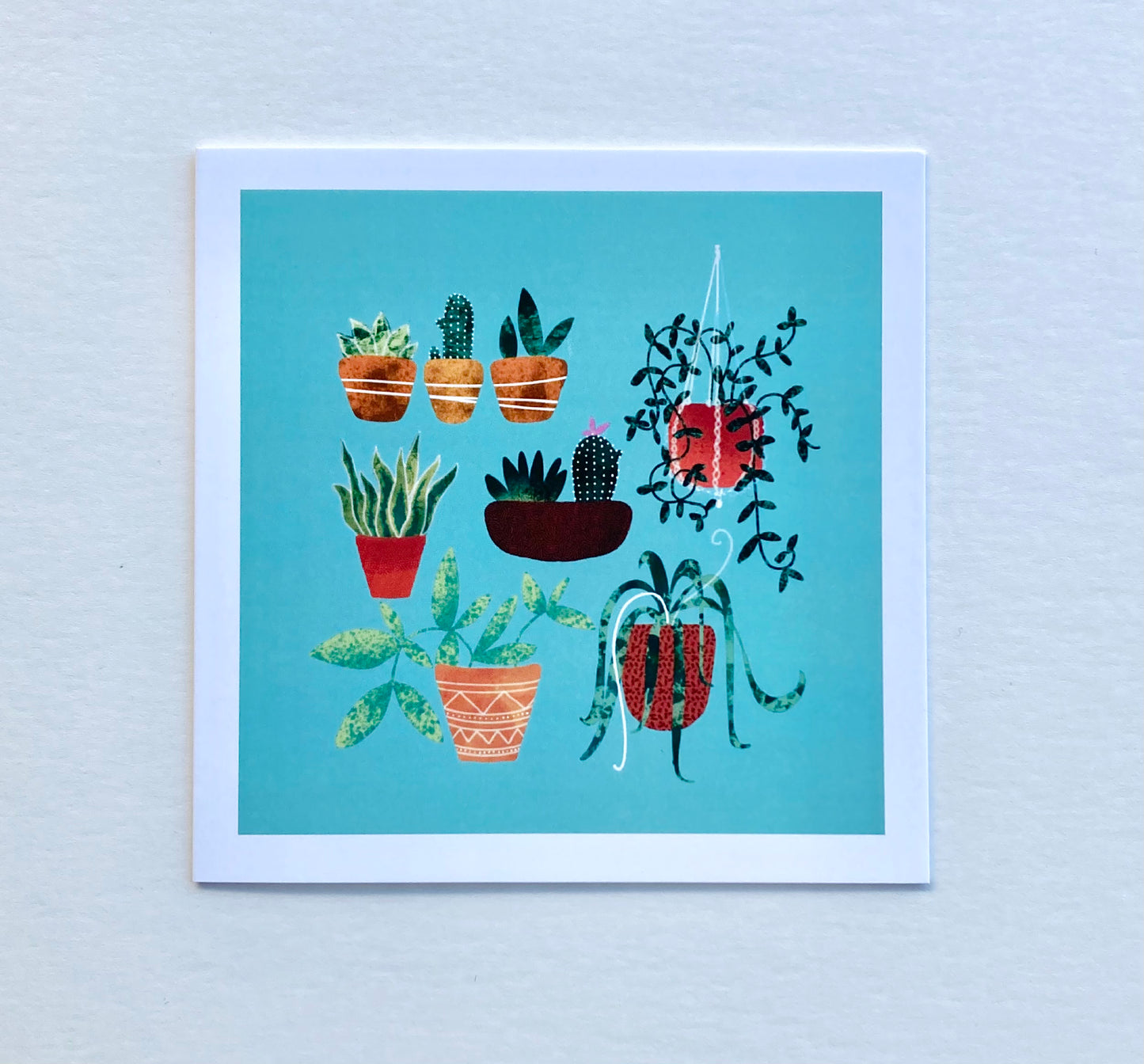 Houseplant Greetings Card *Seconds*
