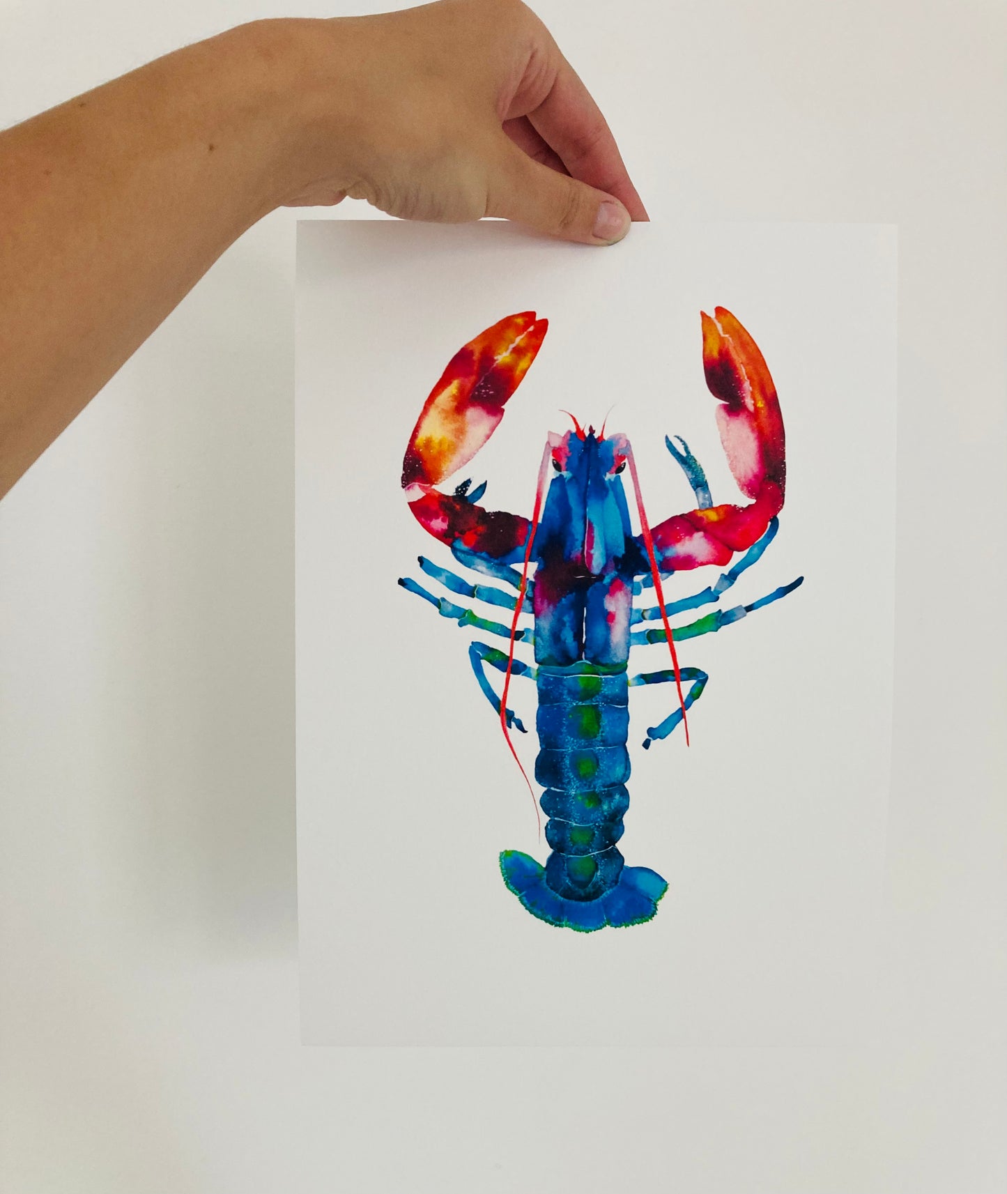 Watercolour Lobster Fine Art Print