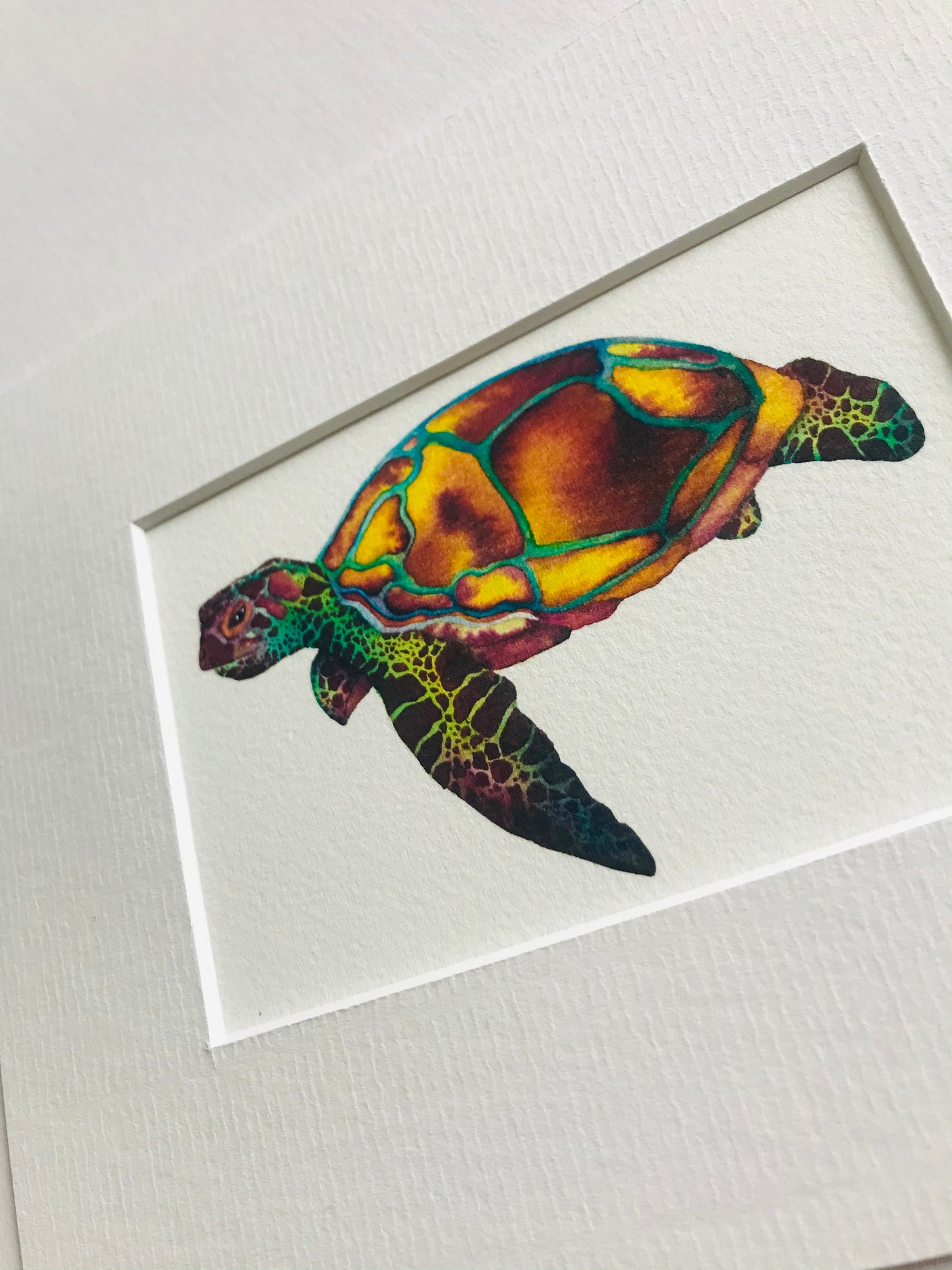 Mini Turtle Fine Art Print *Seconds*