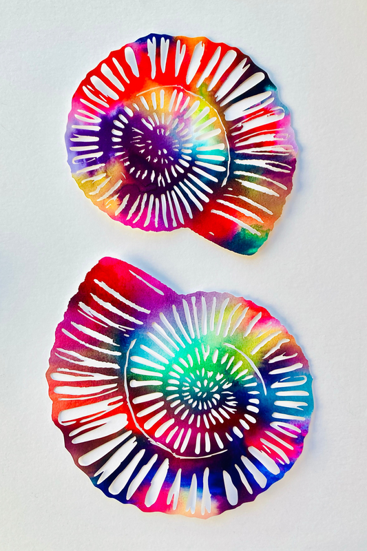 Two Ammonites Framed Watercolour Papercut